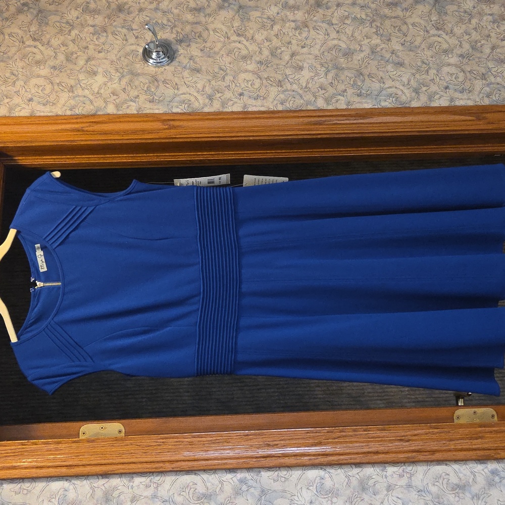 Eliza J dress